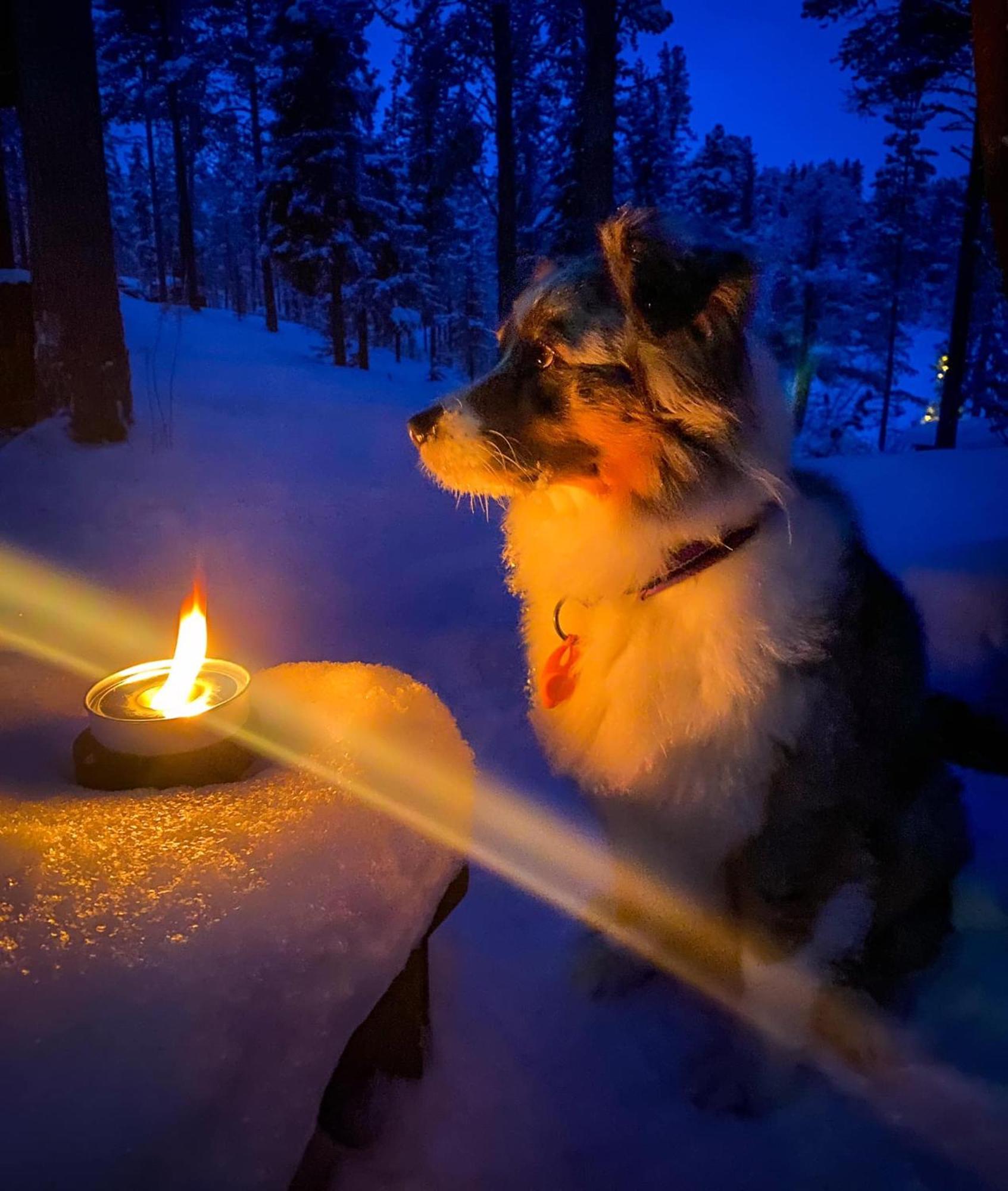 Aurora Camp Kurravaara Villa Екстериор снимка